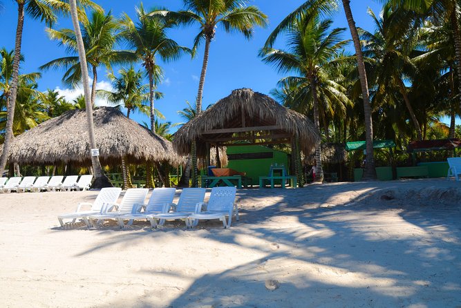 Punta Cana : Saona Island Day Tour - Who will enjoy this Saona excursion most?