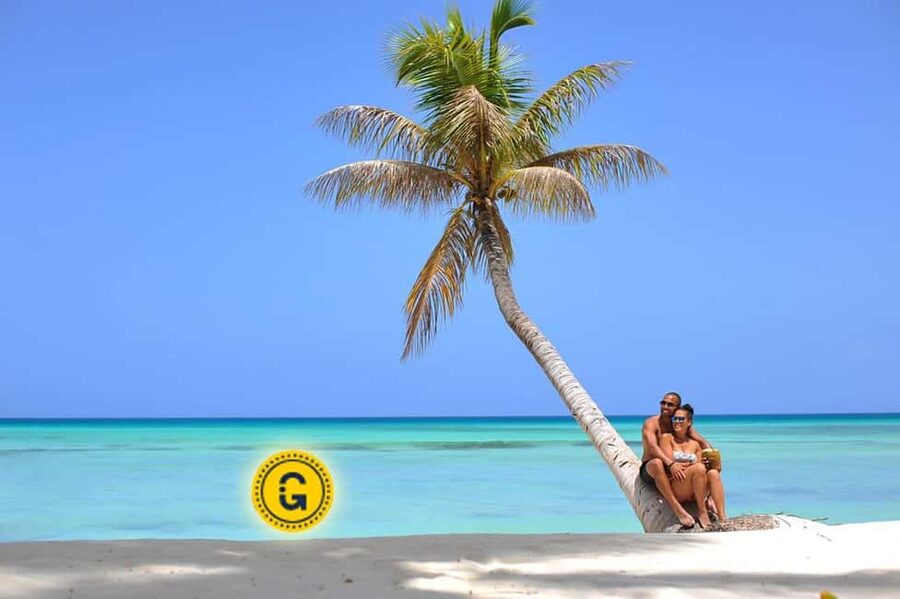 Punta Cana: Saona Island Day Tour and Catamaran Party - Saona Island in one long Caribbean day