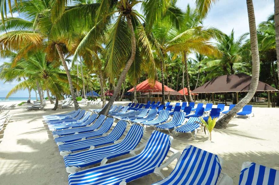Punta Cana: Saona Island Full-Day All-Inclusive Boat Tour - Who will enjoy this tour most