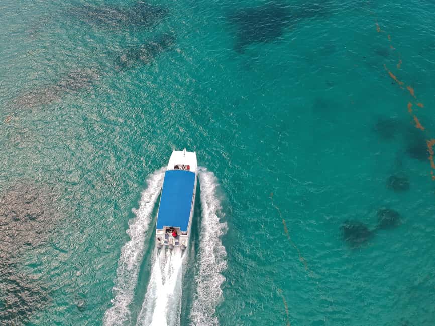 Punta Cana: Saona Island Full-Day All-Inclusive Boat Tour - Dominican buffet lunch and local drinks