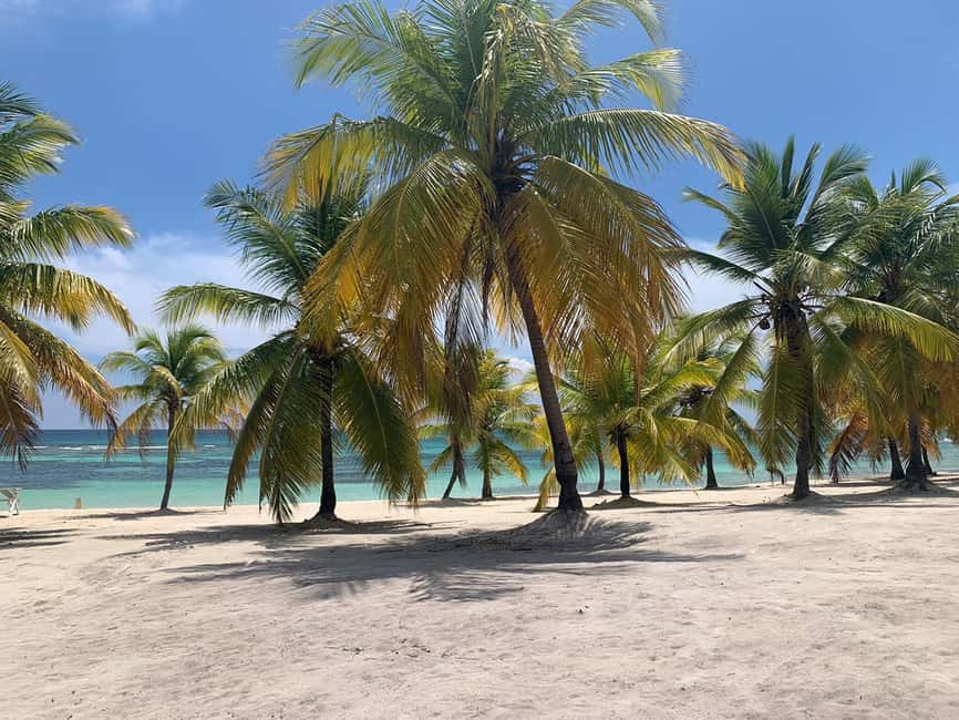 Punta Cana: Saona Island Premium 3 beaches - From Punta Cana to Bayahibe by coach