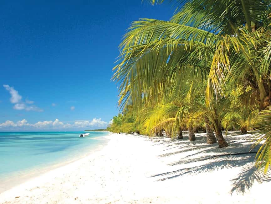 Punta Cana: Saona Island Speedboat and Catamaran Tour - From your Punta Cana hotel to Bayahibe