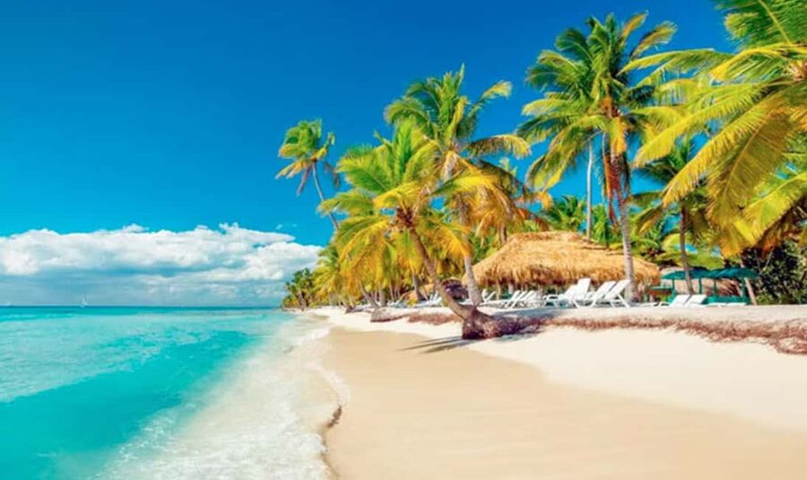 Punta Cana: Saona Island Tour with Lunch and Drinks - Buffet lunch at Palmera Turística beach