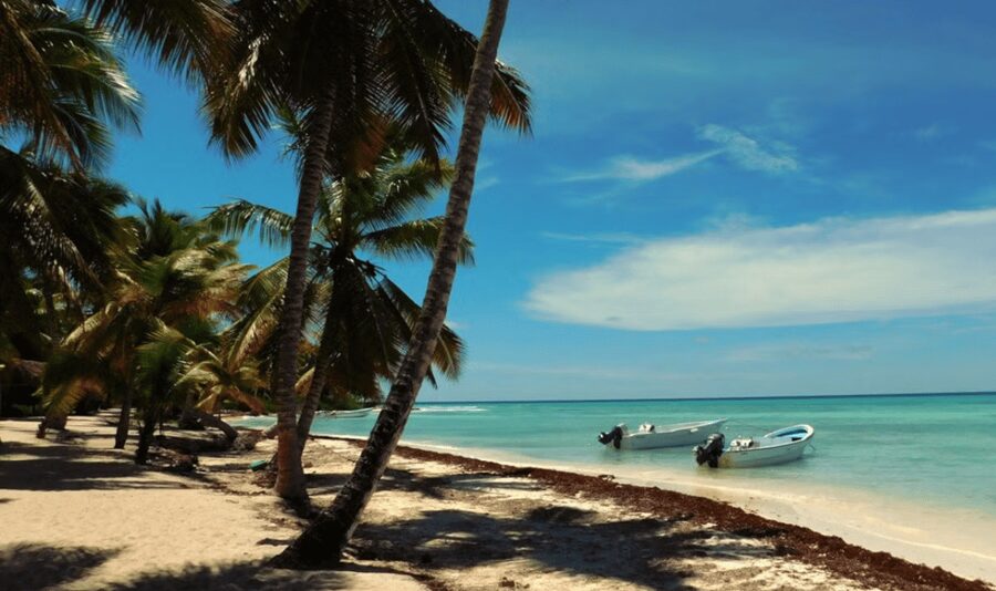 Punta Cana: Saona Island Tour with Lunch and Drinks - What the $75 price really covers