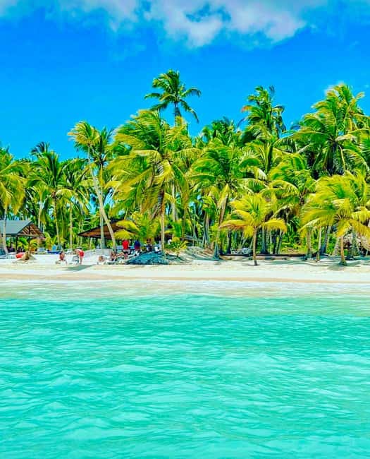 Punta Cana: Saona Island VIP | Private Beach, Open Bar & Lunch - Who will enjoy this Saona day most