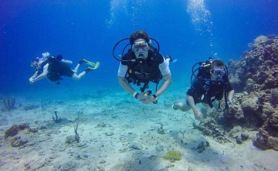 Punta Cana: Scuba Diving Adventure to Catalina Island - The long road from Punta Cana to the coast