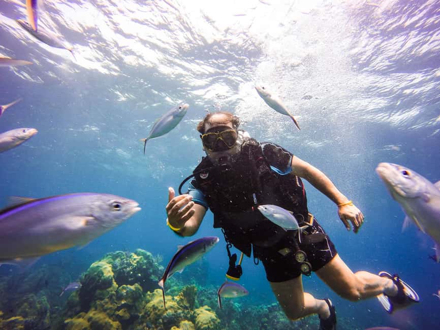 Punta Cana: Scuba Diving Adventure to Catalina Island - First underwater stop: The Wall