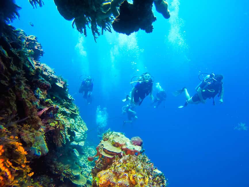 Punta Cana: Scuba Diving Adventure to Catalina Island - Who should book this Catalina Island outing