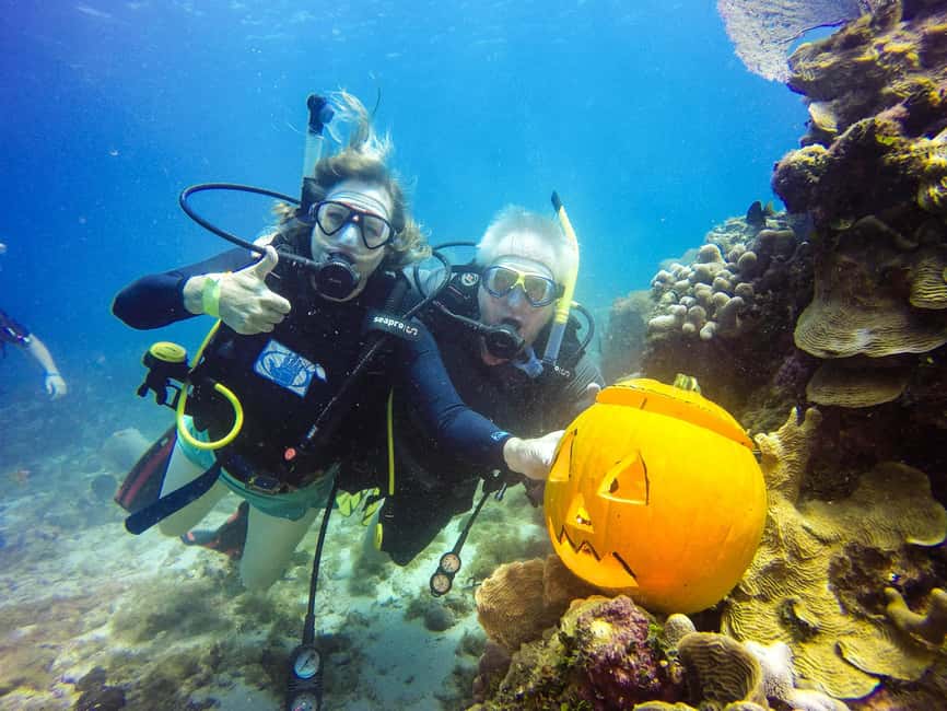 Punta Cana: Scuba Diving Adventure to Catalina Island - Meeting the certified scuba team at the marina