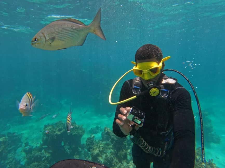 Punta Cana: Scuba Doo Adventure with Round-Trip Transfer - Who will enjoy this most