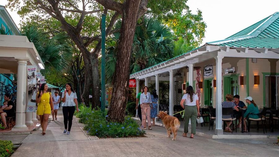 Punta Cana: Shopping Tour with Hotel Pickup and Drop-Off - Hotel pickup and the importance of timing