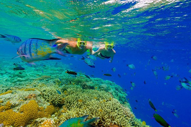 Punta Cana Snorkeling Cruise and Dune buggy Combo Adventure - Coffee, chocolate, and cinnamon in the countryside
