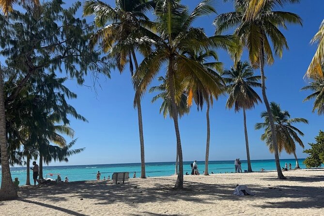 Punta Cana Speed Boat to Saona Island with Lunch & Natural Pools - How much value do you get for $125?