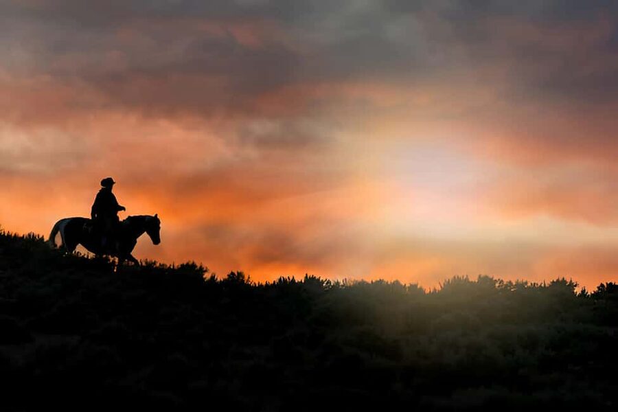 Punta Cana: Sunset Horseback Ride in Macao Beach and Forest - Key points to know before booking