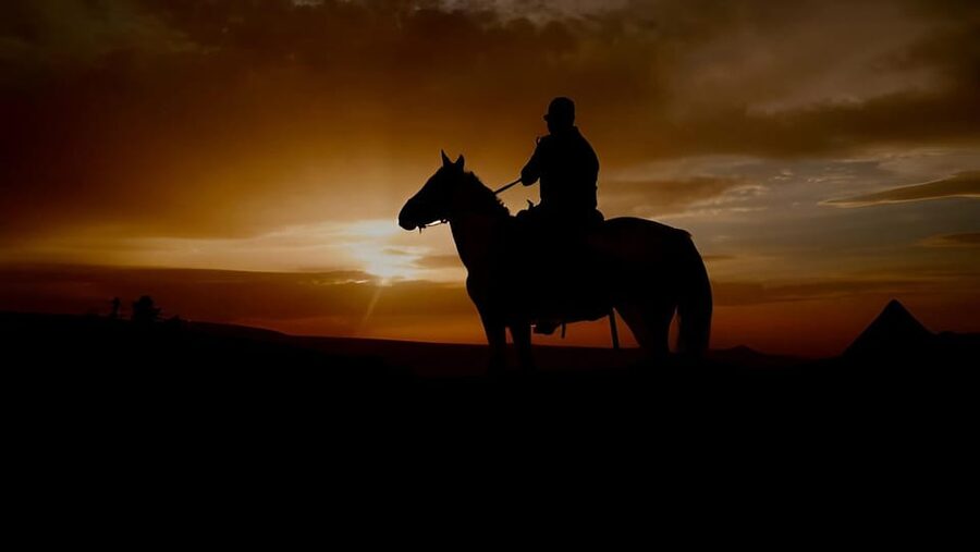 Punta Cana: Sunset Horseback Ride in Macao Beach and Forest - Is $61 a good value?
