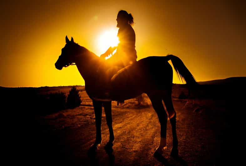 Punta Cana: Sunset Horseback Ride in Macao Beach and Forest - Safety, comfort, and what to pack