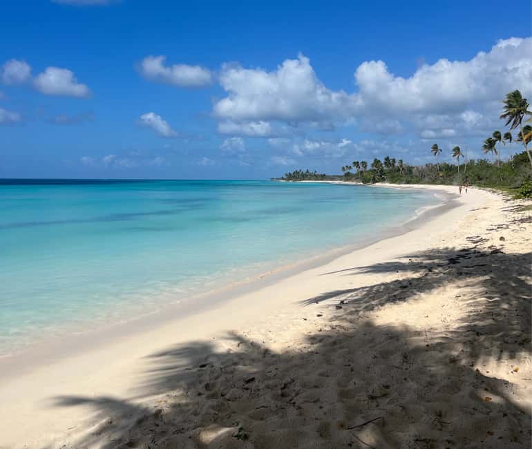 Punta Cana: Three Treasures of Saona - Palmilla, Pueblo & Canto de la playa - Mano Juan, where the tour becomes more personal