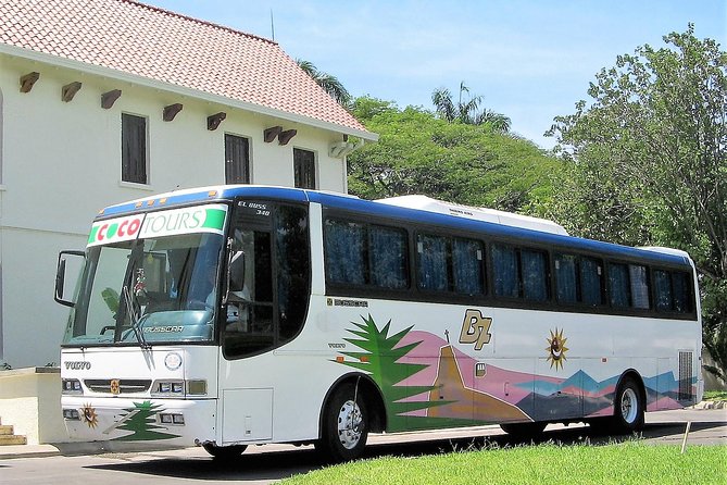 Punta Cana to Bayahibe transfer - What the feedback tells you about the service