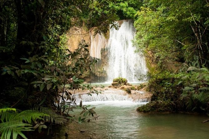 Punta Cana to Samana: El Limon Falls and Bacardi Island - Weather, Swimming, and What to Pack
