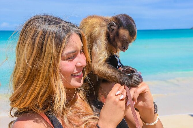 Punta Cana Tour in Atv + Horseback Riding Pick up Hotel - Group size, safety, and the practical rhythm of the night