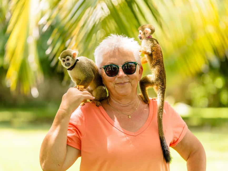 Punta Cana: Tour Monkey Adventure With Hotel Pick Up - Key points to know before you book