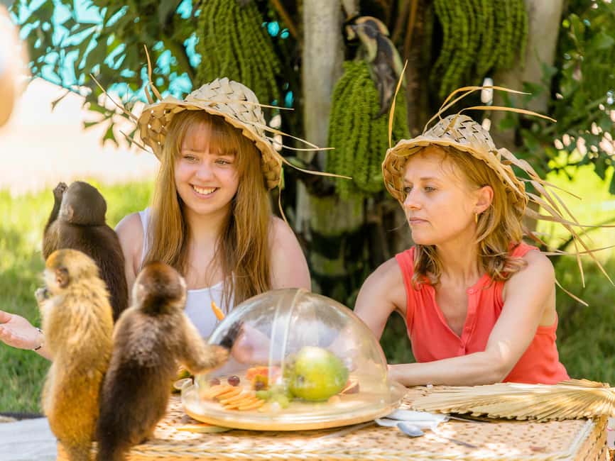 Punta Cana: Tour Monkey Adventure With Hotel Pick Up - Who will enjoy this monkey experience most?