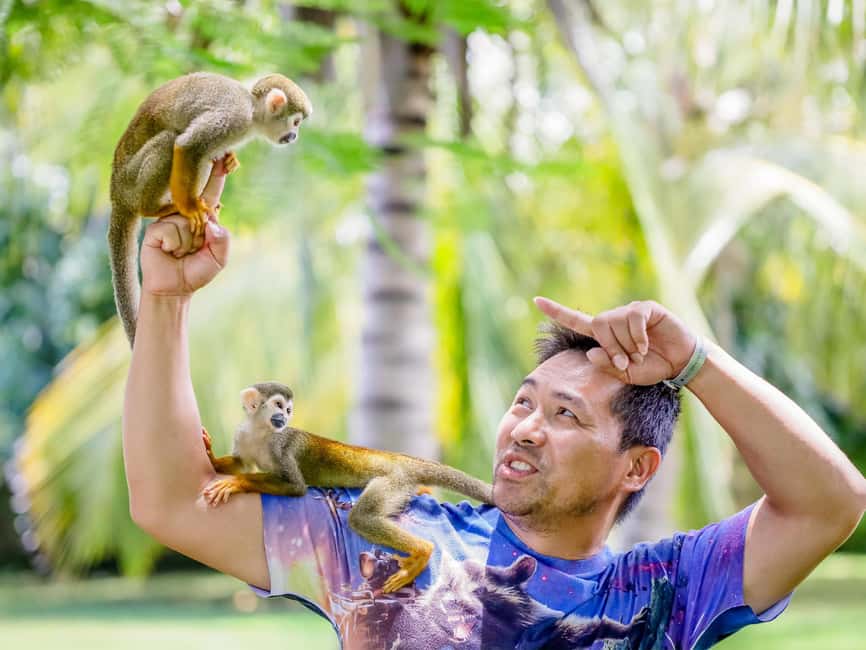 Punta Cana: Tour Monkey Adventure With Hotel Pick Up - What the three-hour schedule actually feels like