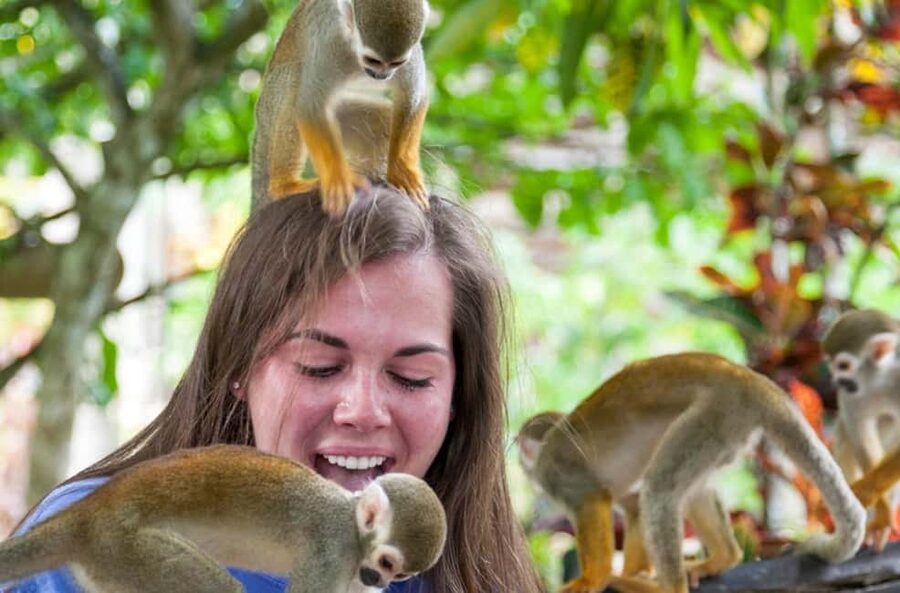 Punta Cana: Triple Jungle Adventure Park Tour with Tastings - Guides, safety, and the human side