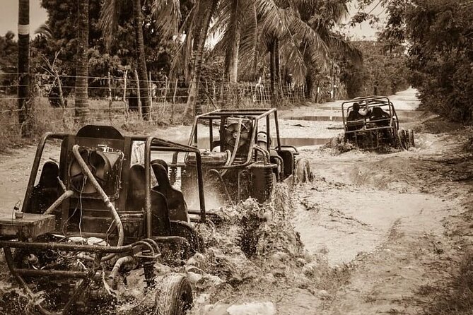 Punta Cana: Ultimate Dune Buggy Experience in Macao Beach Caves - Who should book this Punta Cana excursion?