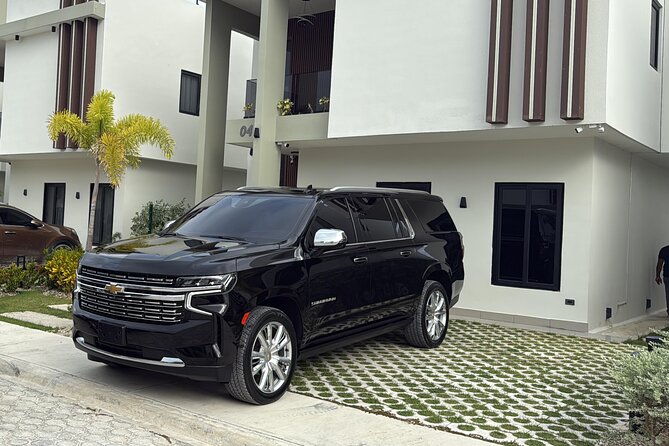 Punta Cana VIP Airport Shuttle - Meet-and-greet service is the real convenience