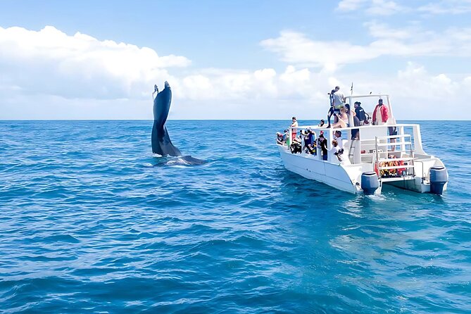 Punta Cana: Whale Watching and Bacardi Island Day Trip - The early morning road from Punta Cana