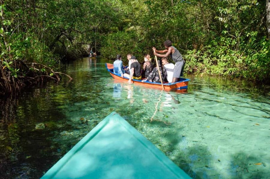 Punta Cana: Whale Watching, Cayo Levantado & Limon Waterfall - Why this Samaná day trip is worth considering