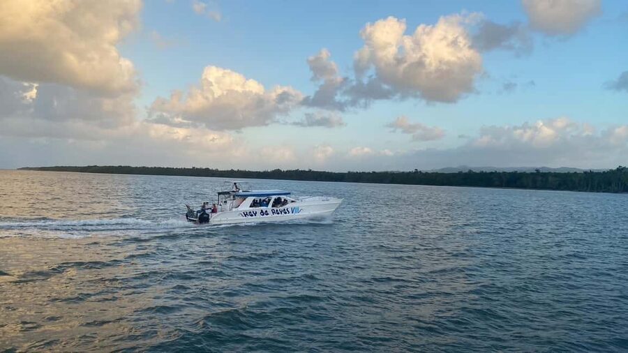 Punta Cana: Whale Watching, Cayo Levantado & Limon Waterfall - A Dominican lunch between the two big outings