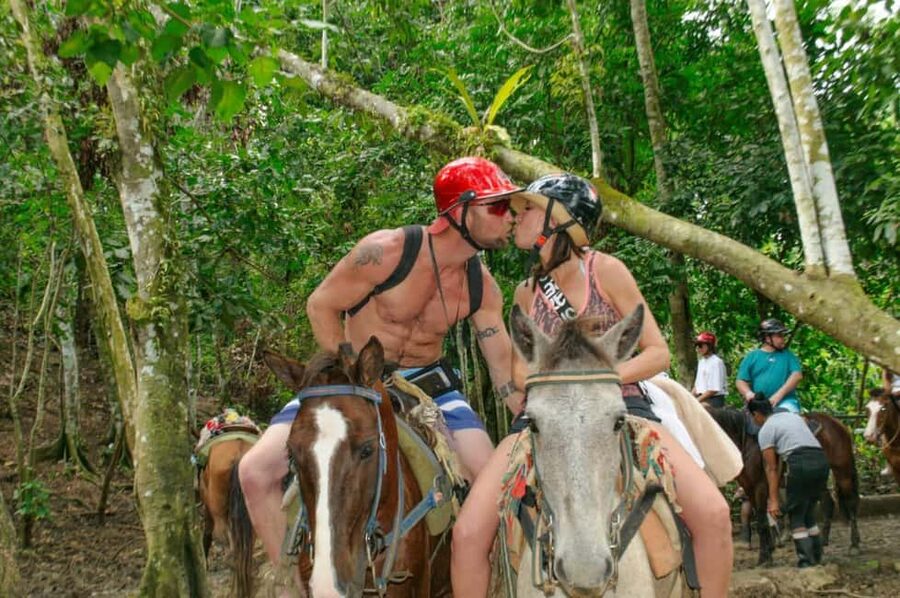 Punta Cana: Whale Watching, Cayo Levantado & Limon Waterfall - What $160 buys you