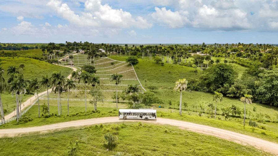 Punta Cana: Xploration Animal Park Bus Tour with Encounters - Choosing the panoramic bus or walking route