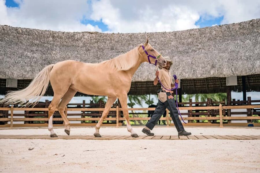 Punta Cana: Xploration Animal Park Bus Tour with Encounters - Cooling off on the River Maimon