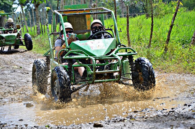 Punta Cana Zip Line, horse riding & Buggy - One Morning, Three Punta Cana Adventures