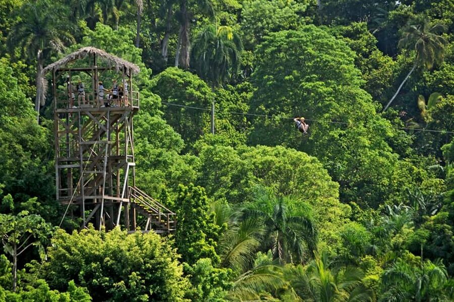 Punta Cana: Zip-Lining 12 Cables - The walking between platforms