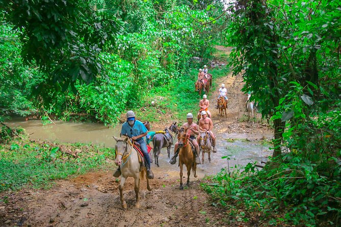 Punta Cana Zipline Adventure with Buggies and Horseback Riding - Getting from Punta Cana to Hacienda Tuko