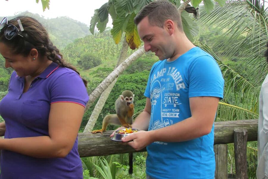 Punta Cana: Ziplines Adventures & Monkeyland Entry - A pause for food, fruit, and Dominican products