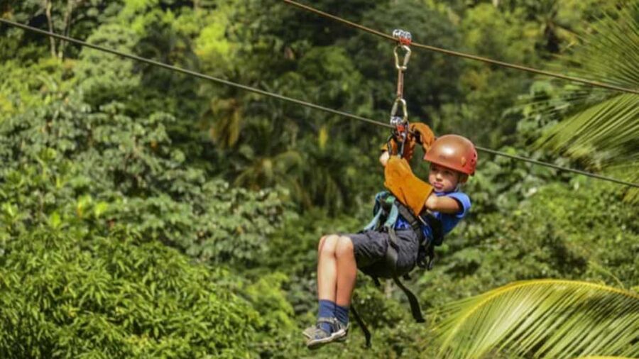 Rainforest Ziplining Adventure - The launch, the speed, and the forest views