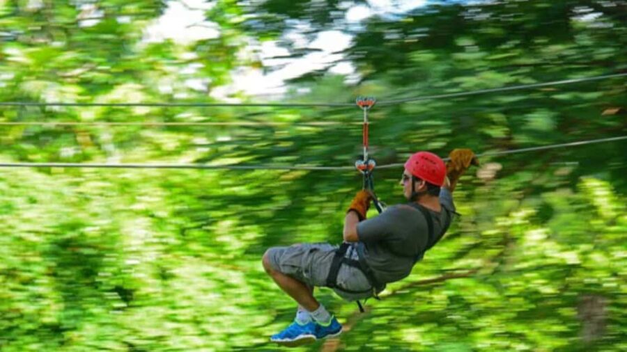 Rainforest Ziplining Adventure - Small details that make the outing easier