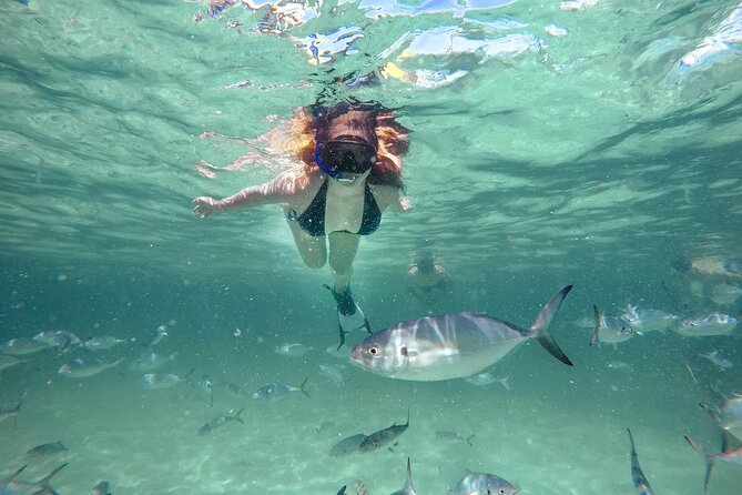 Reef Explorer Half Day Trip - Key points to know before booking