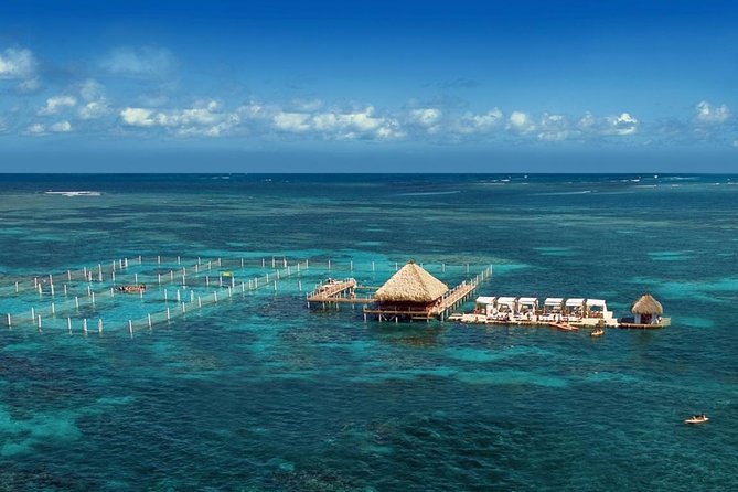 Reef Explorer Half Day Trip - What the three-and-a-half-hour visit is really like