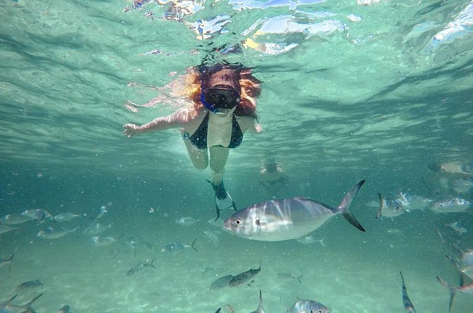 Reef Explorer Half Day Trip - Kayaks, paddleboards, and an underwater scooter