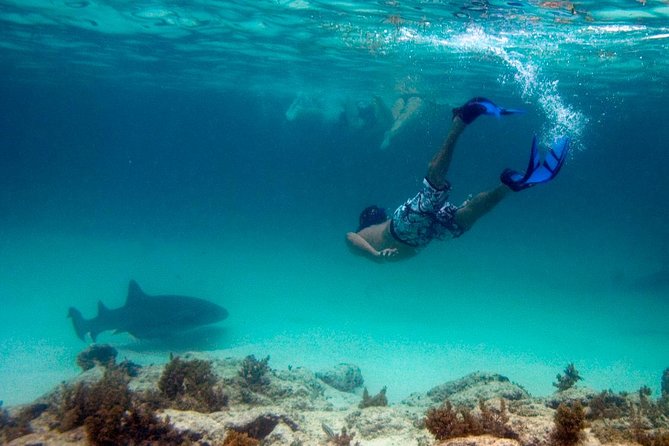 Reef Explorer Half Day Trip - Bávaro Beach, from reef viewing to floating relaxation
