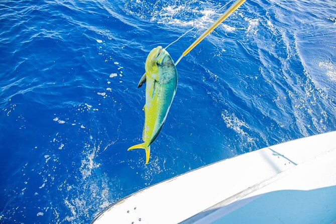Reel Adventures: A Fin-tastic Fishing Tour - Timing, weather, and the risk of a changed plan
