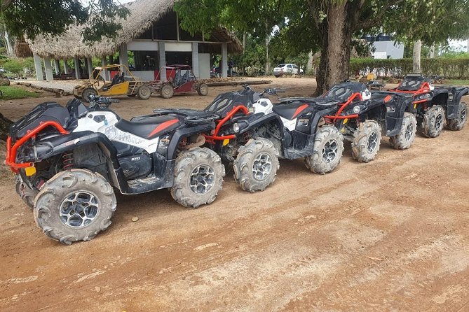 River Cave and Macao Beach Half-Day Quad Bike Adventure - The Dominican coffee and cocoa stop