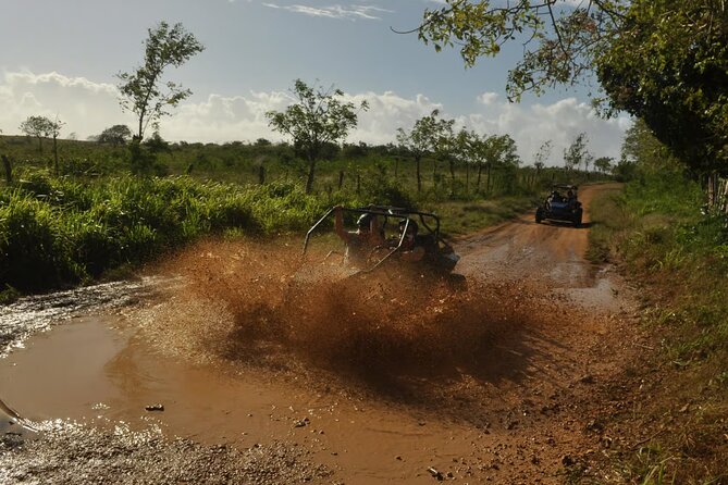 Rivers, Jungle with Buggies Adventure in Bayahibe - How the price compares with the experience