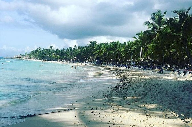 Round Trip Punta Cana Airport Shuttle - Service record: strong results with a few real warnings